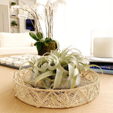 Pyramid Tray - Round