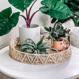 Pyramid Tray - Round