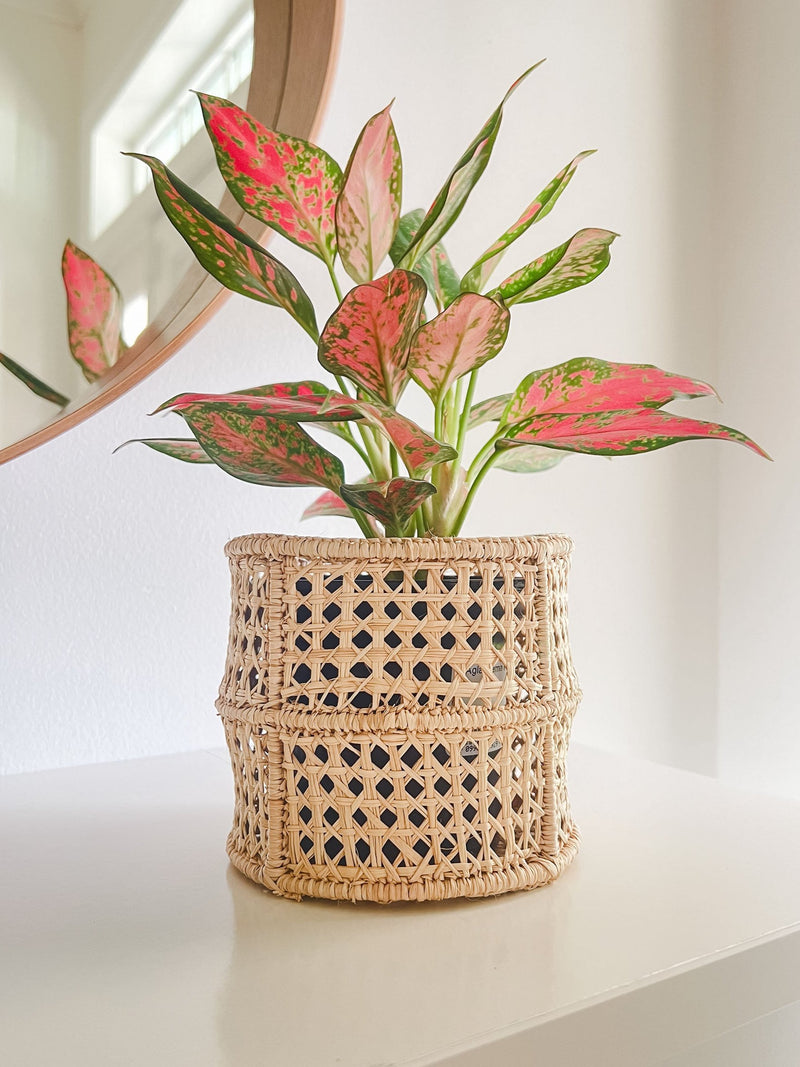 Cane Vase